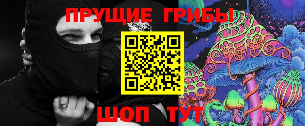 Галлюциногенные грибы прущие грибы  Вход с VPN  Гусев  Галлюциногенные грибы Psilocybe 